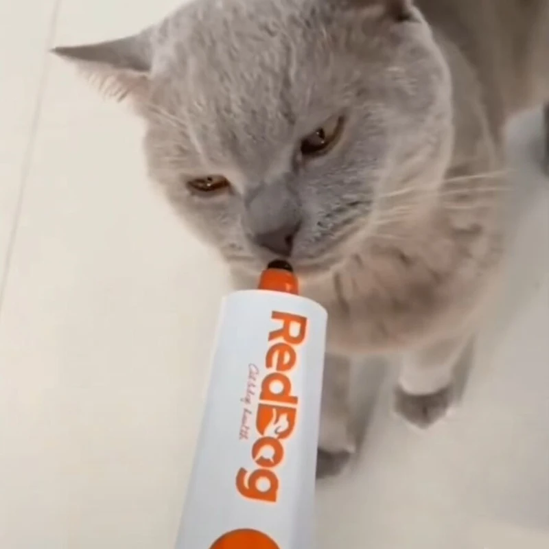 Pet Nutritional Gel REDDOG For Kitten Young Cat And Dog, Comprehensive Nutrition Supplement Strengthen Physique Coat Skin Health