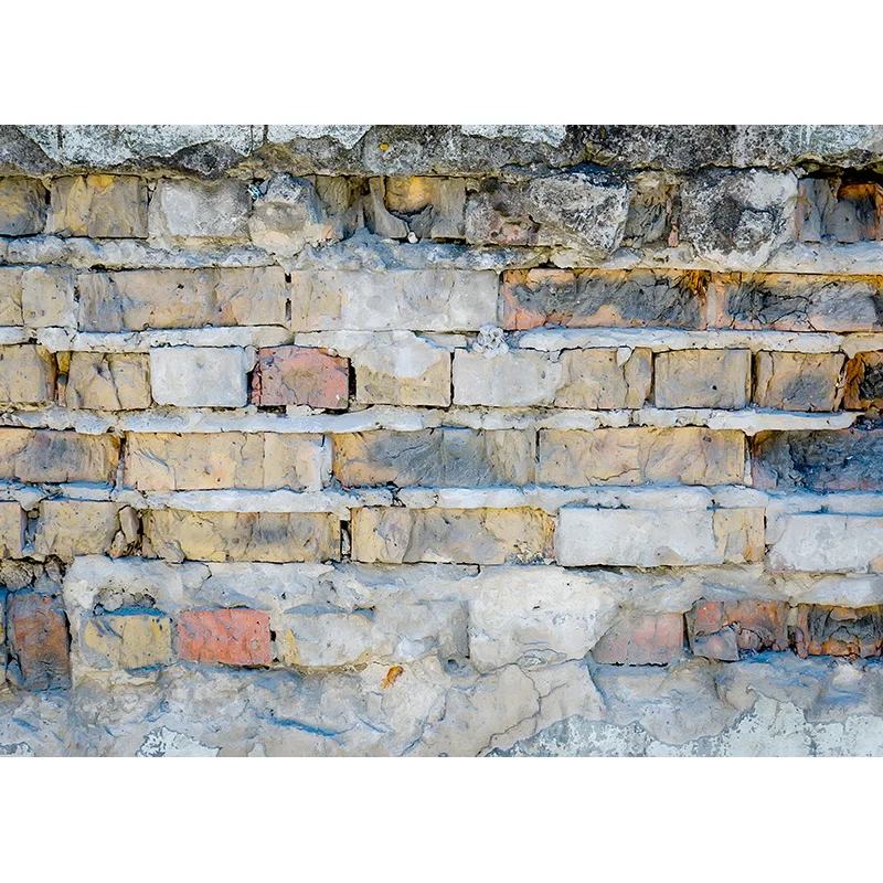 Puntelli su ordinazione dello Studio del fondo della foto di tema del muro di mattoni dell'annata dei fondali di fotografia del vinile 201225RY-09