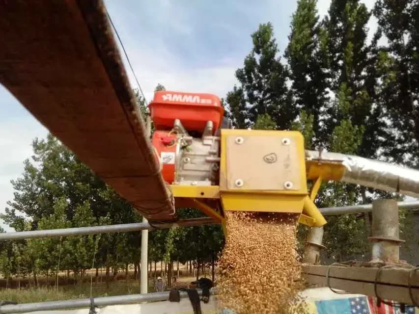 Wheat Delivery Tool Screw Elevator Conveyor Flexible Screw Conveyor Small Farm Grain Conveyor Grain