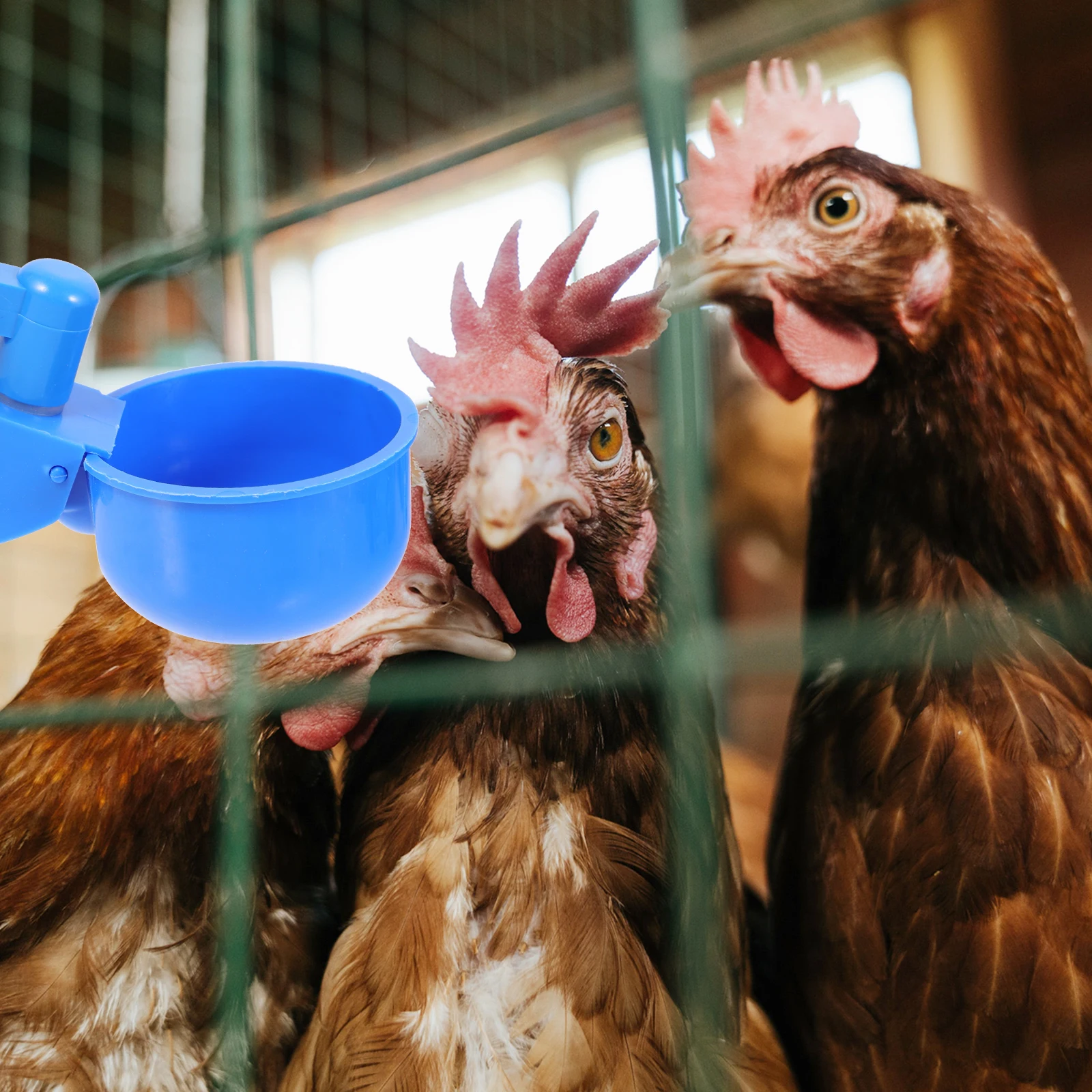 

12 Pcs Automatic Chicken Waterer Durable Plastic Large Capacity Feeder Drinking Bowl for Poultry Duck Bird Supply