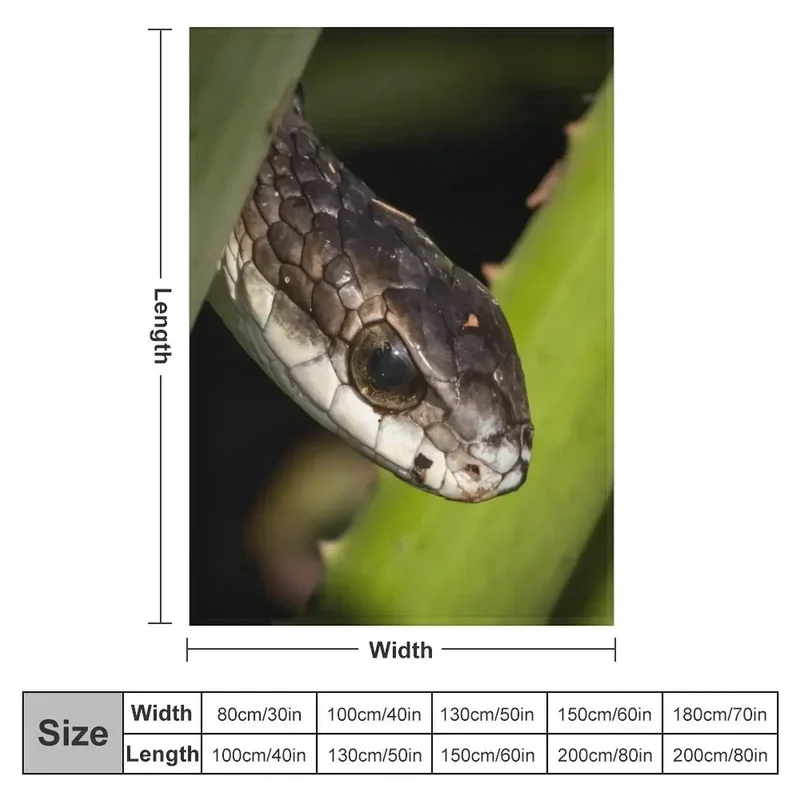 Tree Snake (Dispholidus typus) Throw Blanket Bed Comfortable Flannels Sofa Blankets