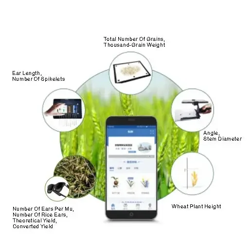 Rice Panicle Shape Study System Rice Quality Analyzer