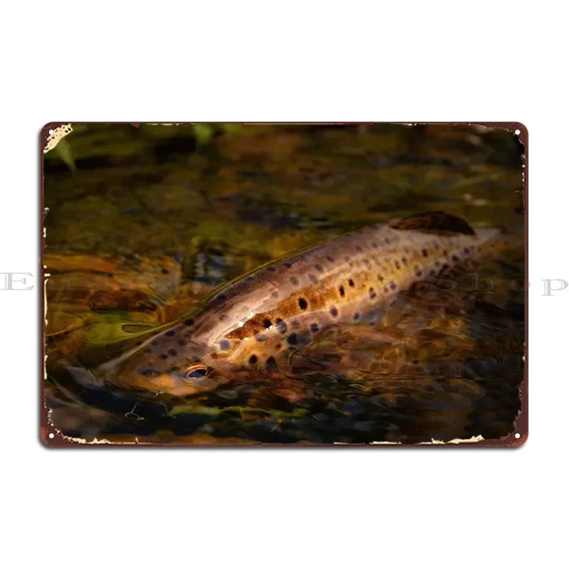 Wild Brown Trout Metal Sign Rusty Pub Designing Designs Cinema Tin Sign Poster