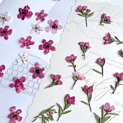 24pcs/1-3cm,nature mini red plum petals/bud branches,pressed flower DIY photo frame circular fan bookmark flora makeup Nail Prop