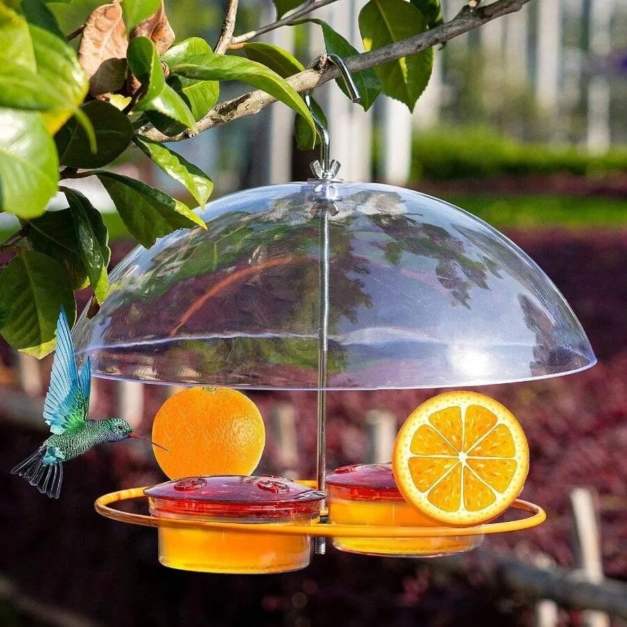 【Nuevo estilo】Comederos para pájaros Baltimore Oriole, y comederos para naranjas, colgantes, a prueba de ardillas, para pajaritos azules y colibríes, para exteriores