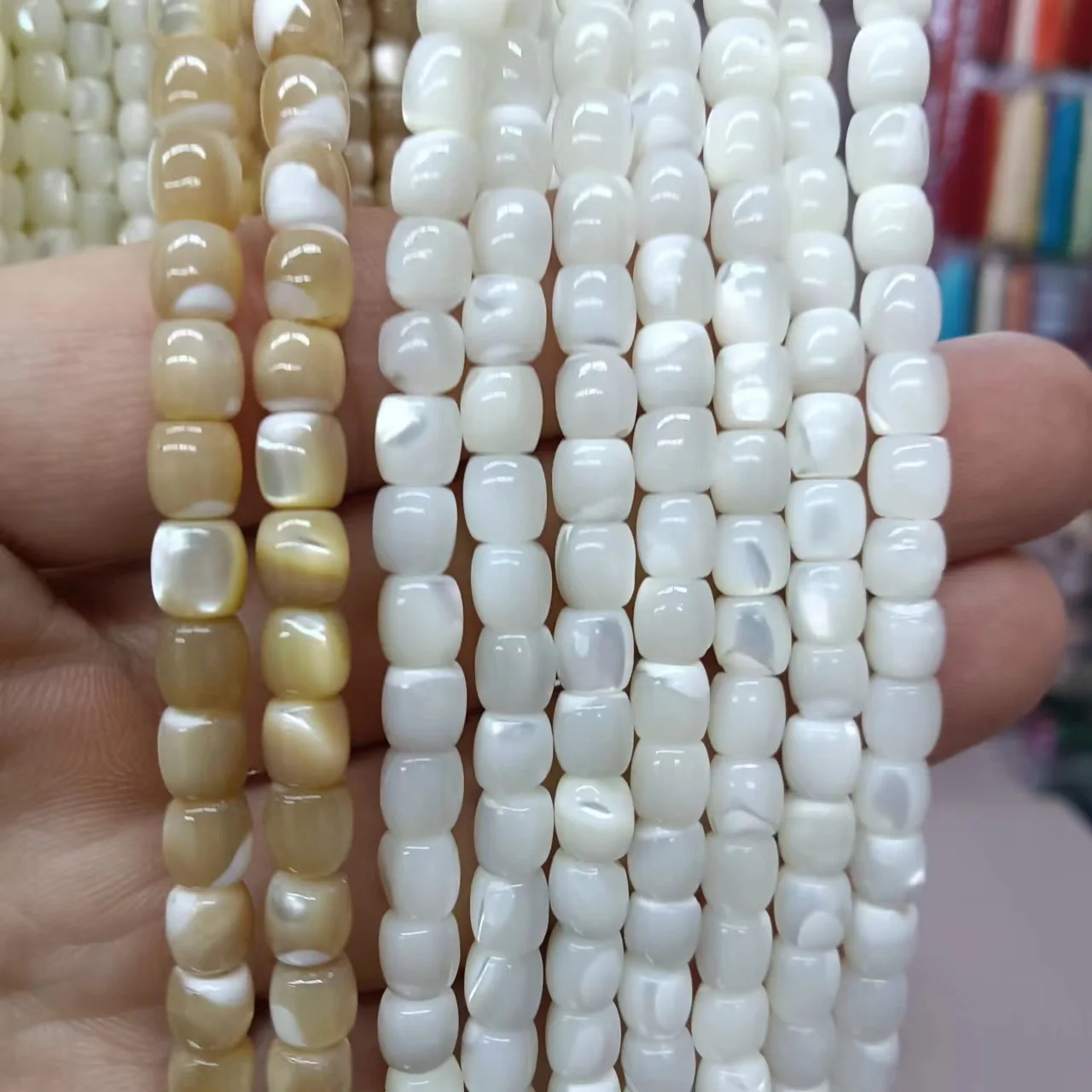 Trochidae shell white/brown pillar 6/8mm for DIY jewelry making  loose beads  FPPJ wholesale beads nature gemstone