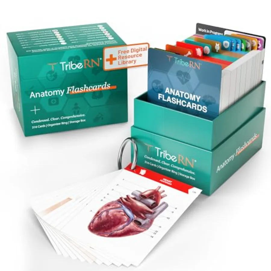 

TribeRN Flash Cards 320 Study Resources for Students Human and Study Tools Medical Nursing School Essentials Durable and Easy t