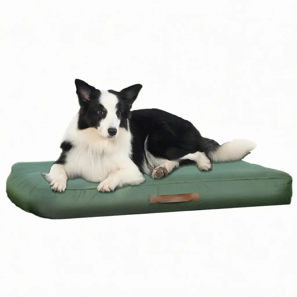 Waterproof Inflatable Dog Mat Pet Bed With Removable Cover And Anti-Slip Bottom, Outdoor Eco Friendly Portable Dog Bed