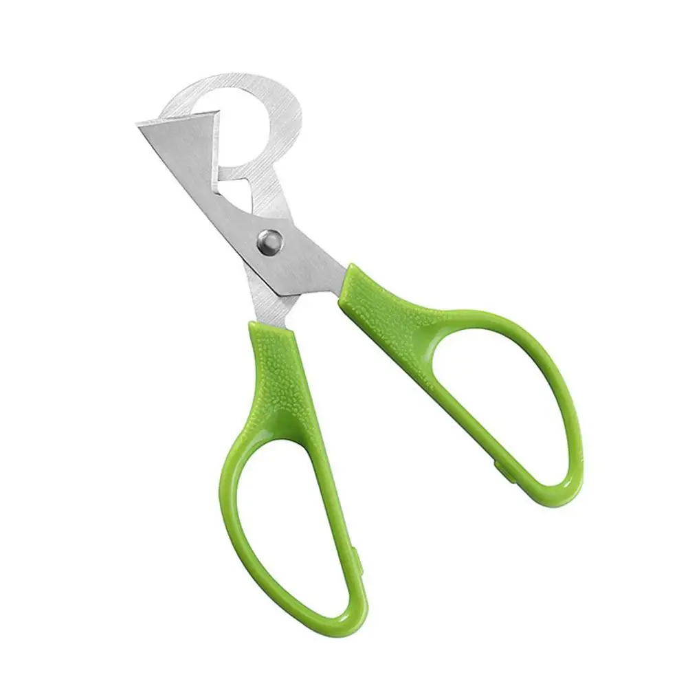 Pigeon Quail Open Crack Small Egg Shell Scissor Cut Bird Eggshell Separator Cigar Cutter Opener Tool Pigeon Quail Egg Scissor