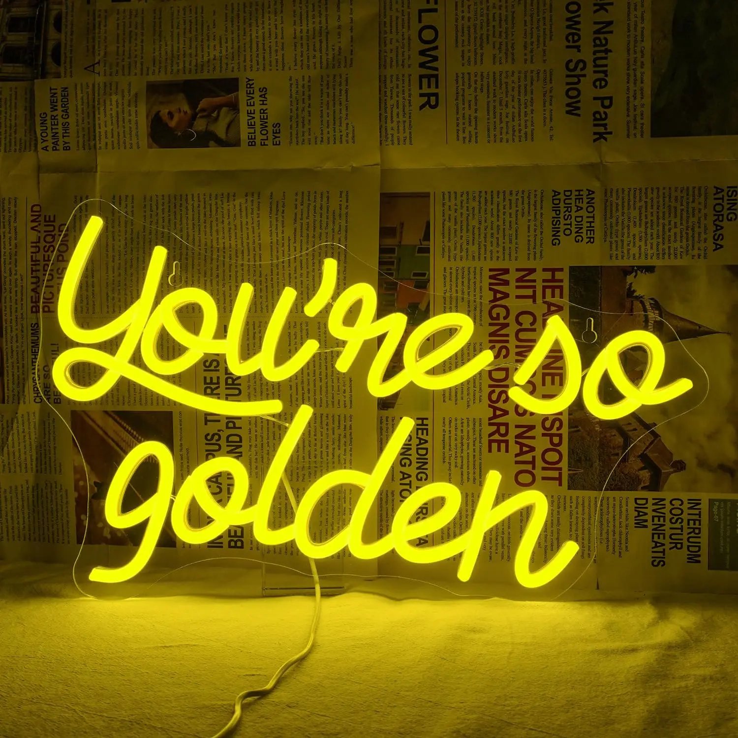 

You're So Golden Neon Sign for Wall Decor Golden Birthday Party Letters Led USB Light Up Sign For Birthday Wedding Mother's Day