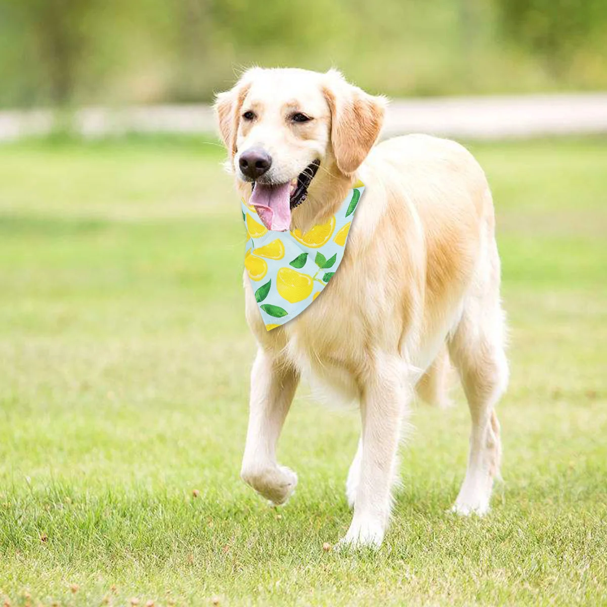 

Pet Scarf Dog Cat Neckerchief Fruit Design Easy Wear Party Decoration Pet Bandanas Supplies Dog Saliva Towel Pets Neckerchief