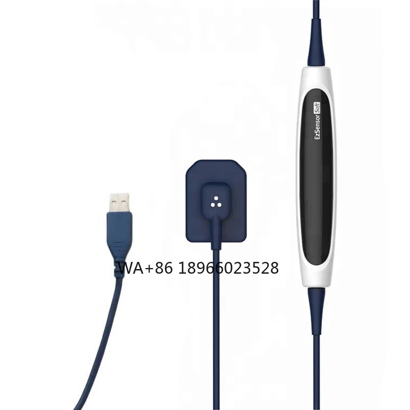 Korea Rvg System In…