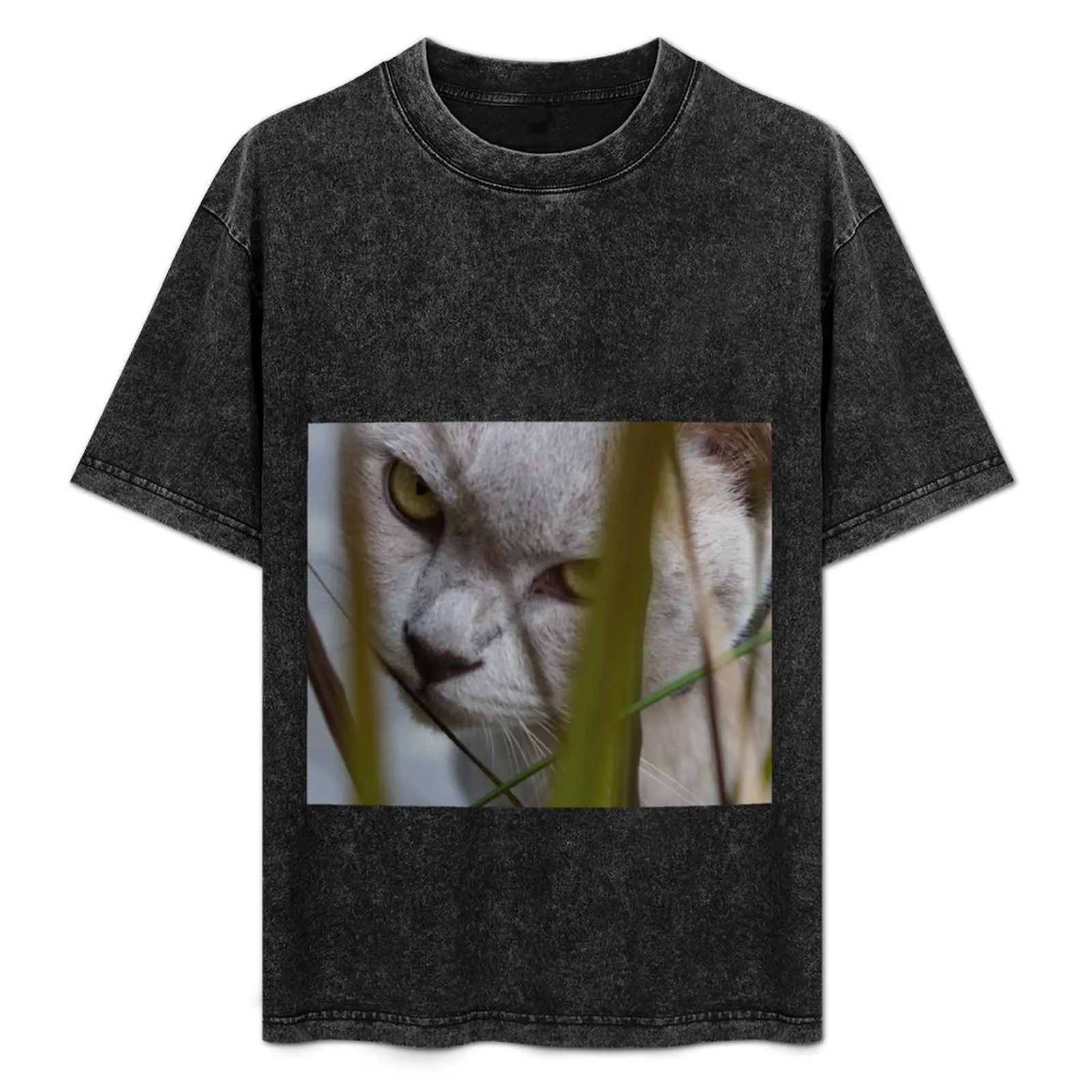 Mi gato birmano lila. Camiseta Deportiva de Verano de Secado Rápido