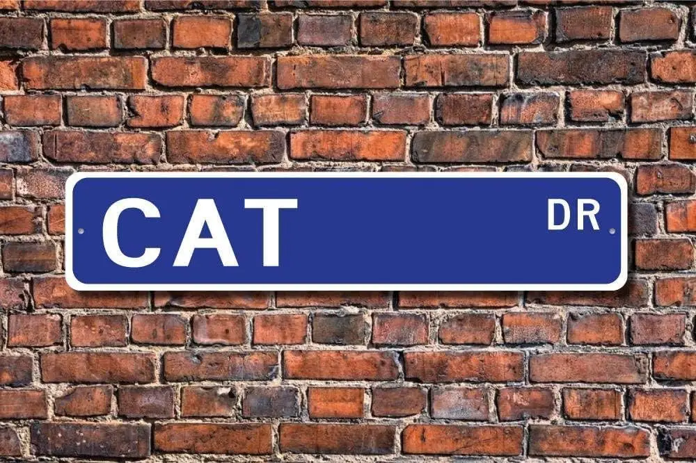 New Road Sign Cat Cat Cat Sign Cat Decor Cat Expert Feline Cat Study cat Lover Signal Sign tin Sign 4x16 inches