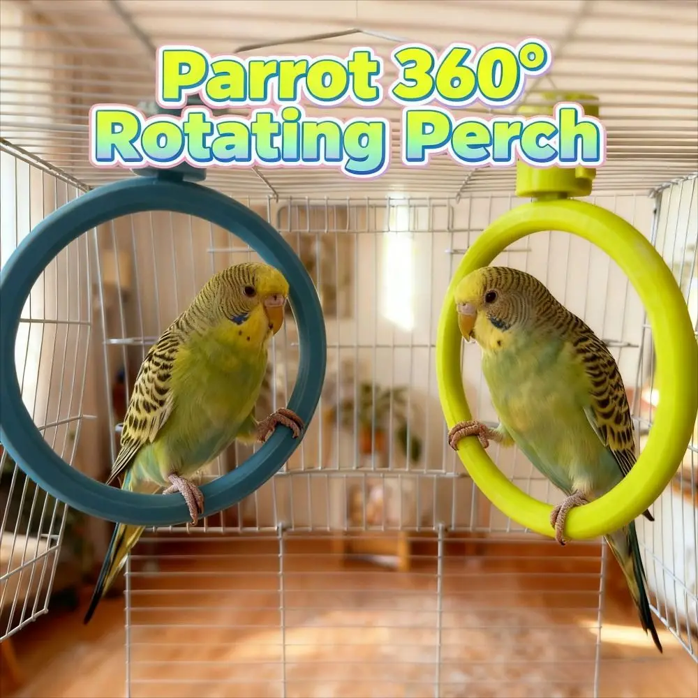 Round Rotary Bird Perch Detachable Quiet Rotating Bird Stand Comfortable Grip Easy Assemble Birds Grinding Perch Holder