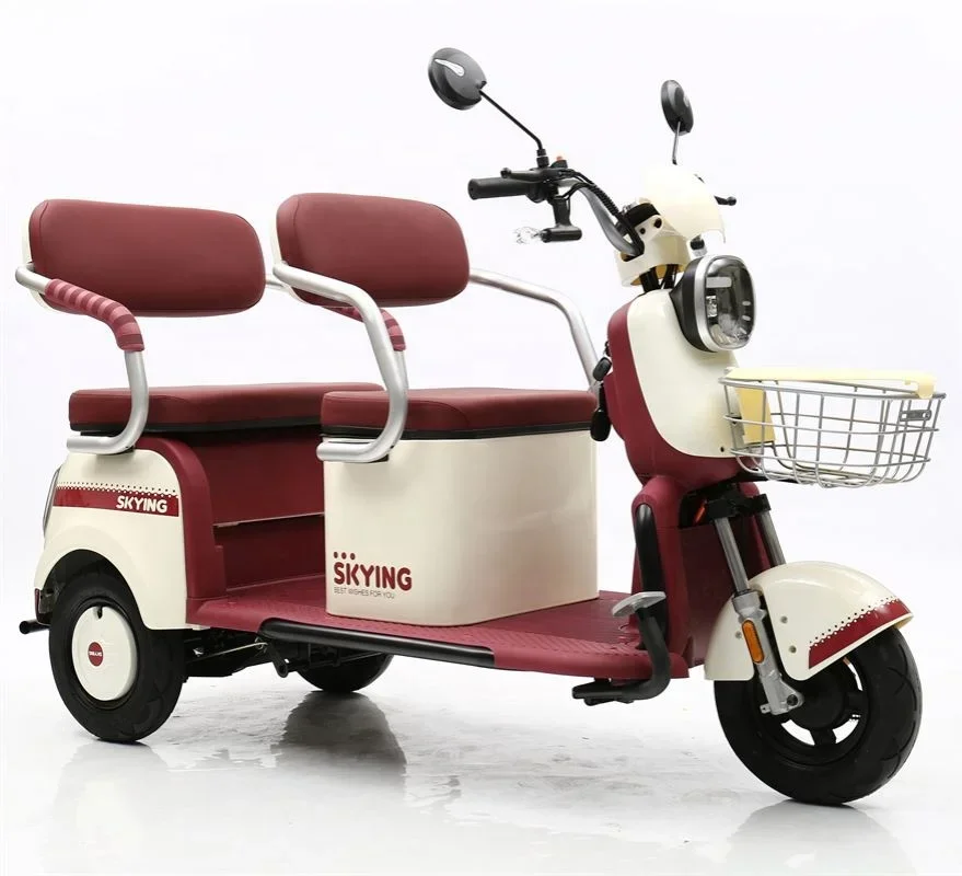 exquisite craftsmanship 500W Electric Three Wheel Electric Motor Adult Two Seat Tricyclele