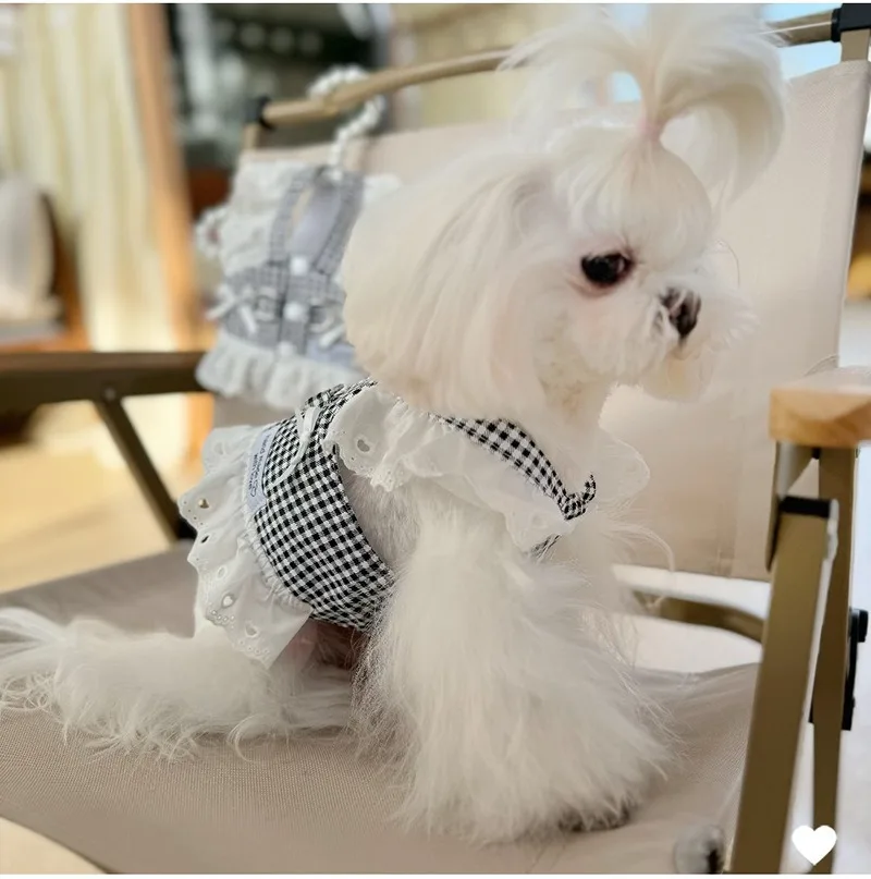 Haustier Hund Kleidung Spitze Rock Pastoralen Stil Schwarz Plaid Harness Welpen Kleider Universal Harness Traktionierbar Retro Prinzessin Kleid – Detail 7