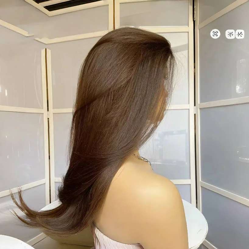Glueless Long 26Inch Highlight Brown Natural 5x5 Silk Base Jewish Human Hair Wig Baby Hair HD Lace European Hair Preplucked