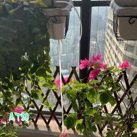Pump Timer System Outdoor Automatic Watering Pump Controller Flowers Plants Home Sprinkler Drip Irrigation Device-AT30