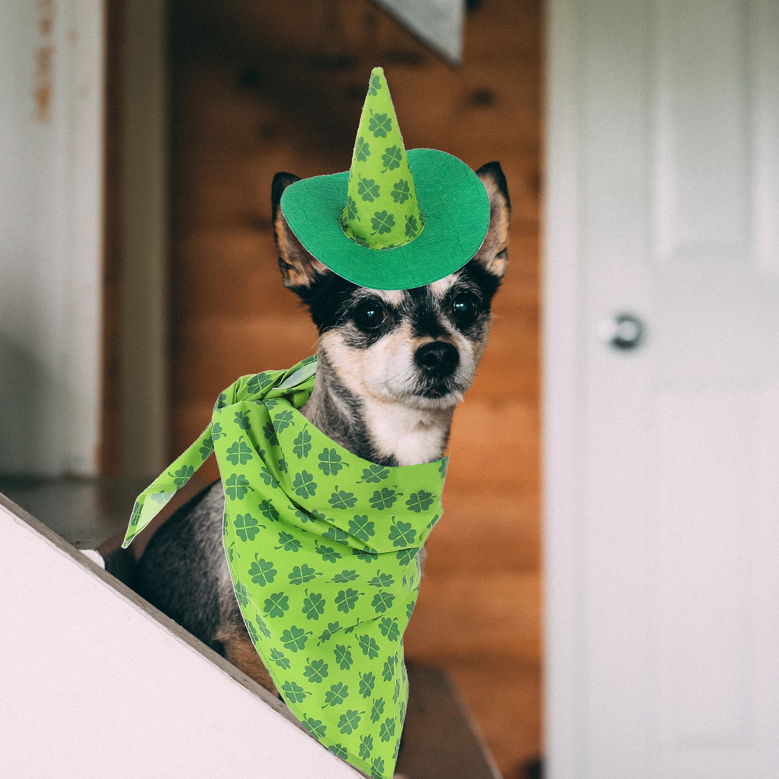 

Irish Collars Hat Props Festival Themed Accessory Green Patrick Day Bib Pet Accessories St Patrick Style Photos