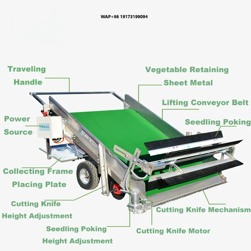 Precision Cutting Leafy Vegetable Harvester With Minimal Damage Conveying and Adjustable Cutting Table Height