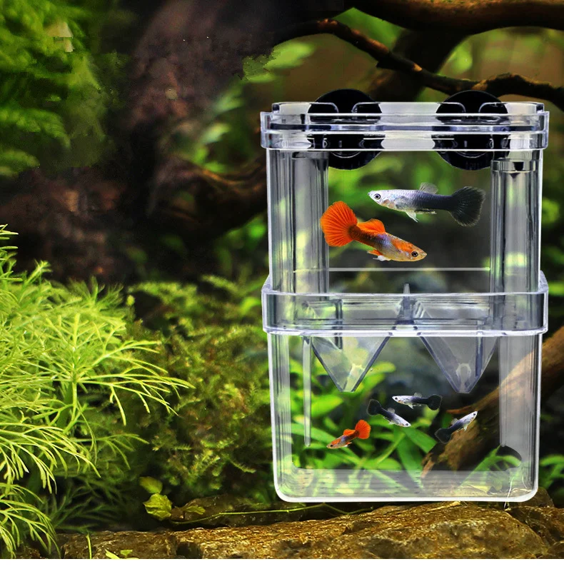 Acrylic Fish Tank Breeding Isolation Box Aquarium Hatchery Incubator Holder Aquarium Accessories fish supplies