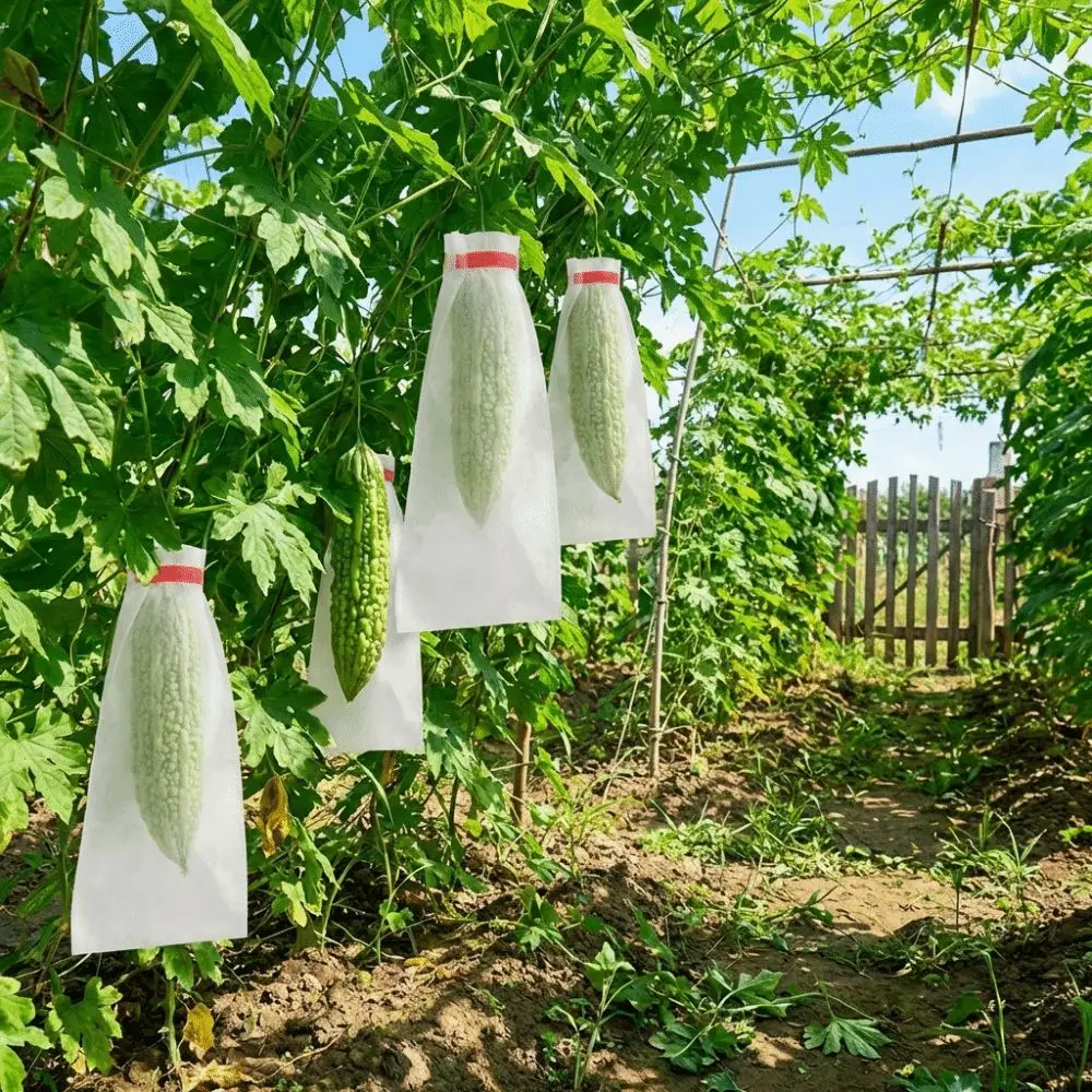 100Pcs Non-woven Fruit Protection Bags Anti-bird Breathable Insect Barrier Pouch Corrosion-resistant Mesh Insect Proof Bag