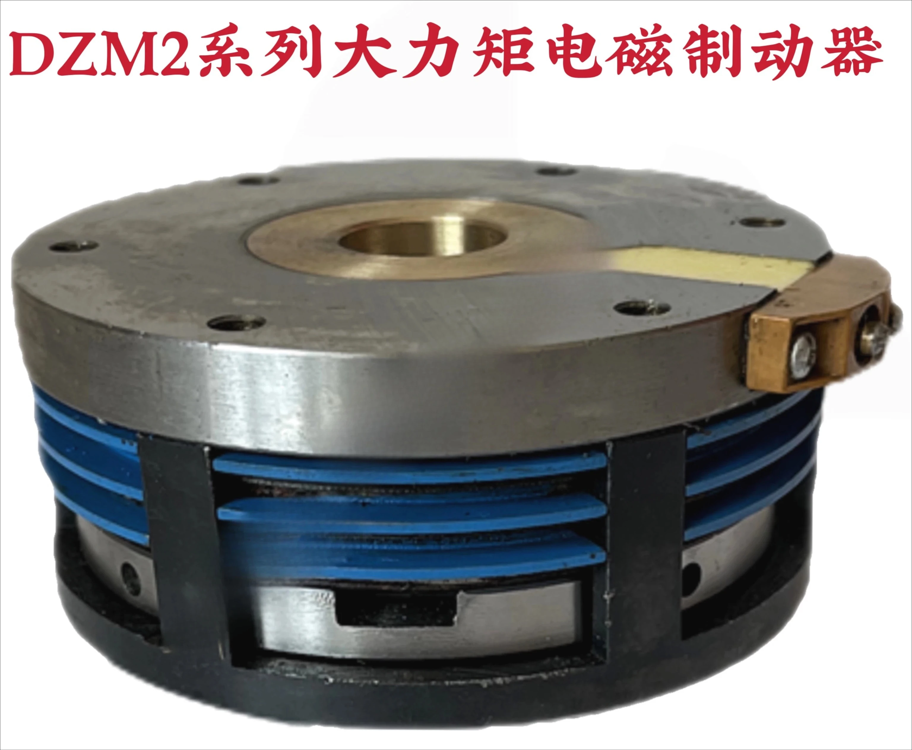 Electrom-agnetic brake high torque DZM2- 4/6/10/16/25/40/63/100 multi-piece brake brake 24v