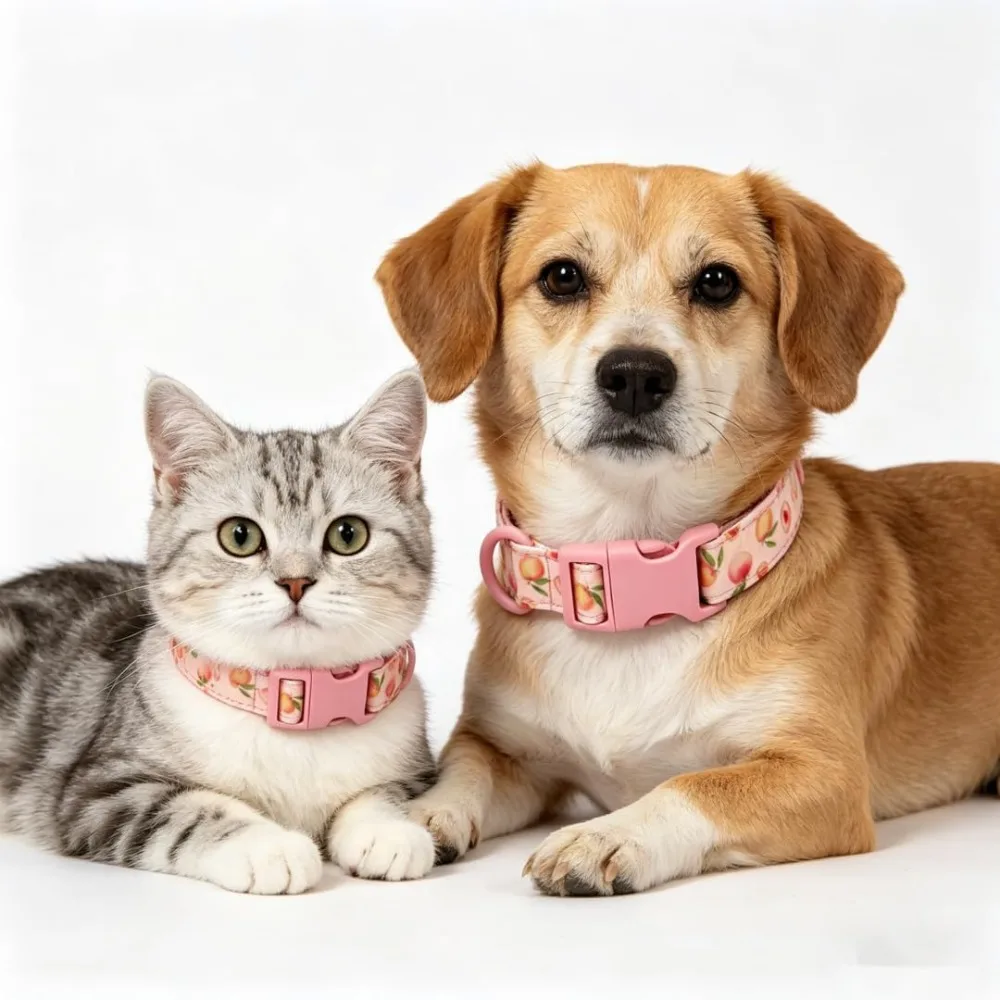 Personalised Dog Collar for Male Female Dogs Fruit Pattern Engraved Pet Collars with Name Personalized Collar for Puppy Kitten view 5