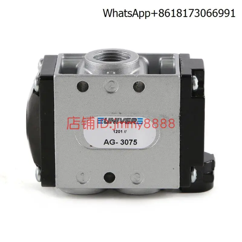 Italy Univer Pneuma…