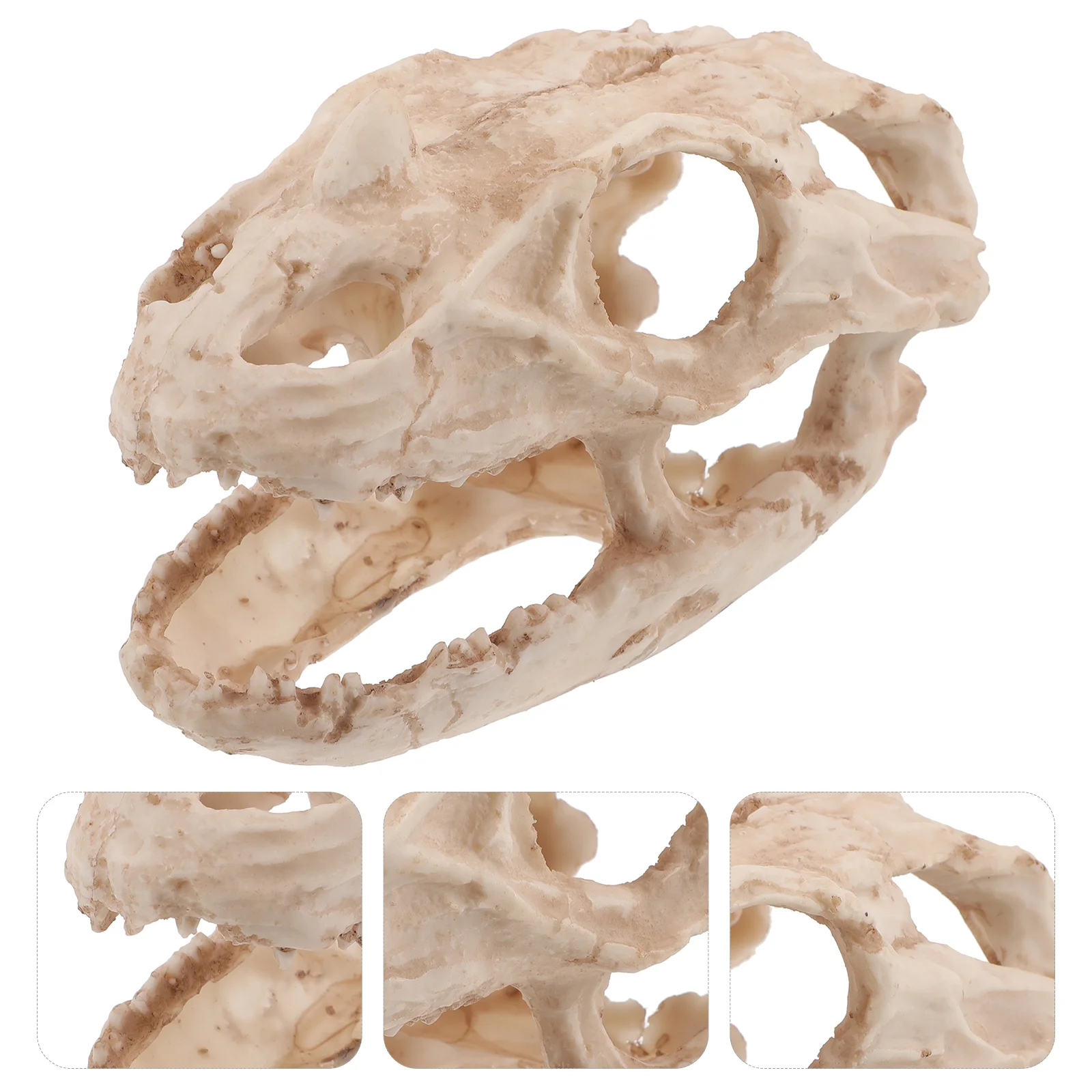 1PCS Realistic Resin Dinosaur Skull nament Fish Tank Hideout Decor Creative Dinosaur Skull Craft Aquarium Landscape nament