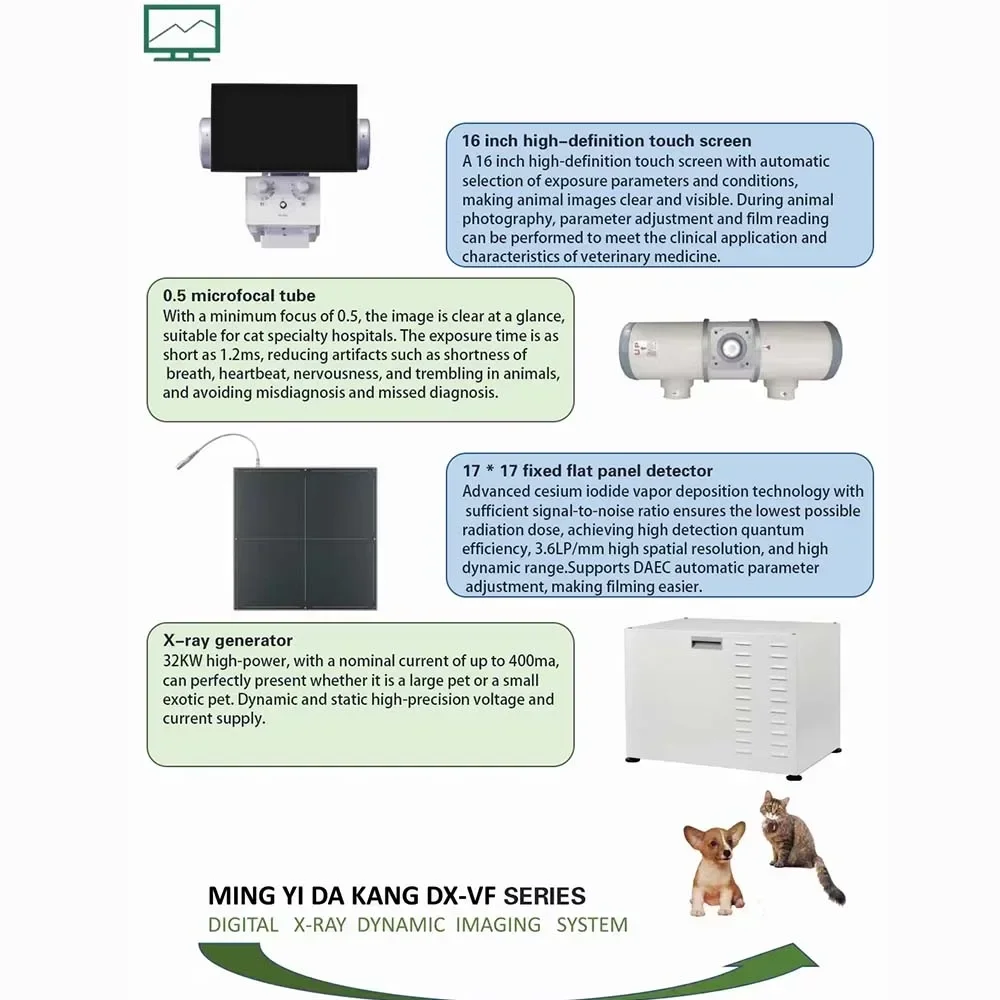 DR Static Image Shooting System  Animal for Animal Use Single Phase Three Wire System Animal Healthcare