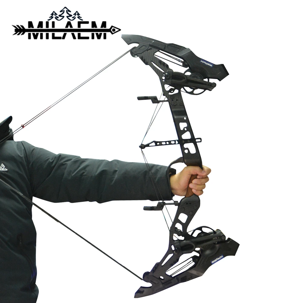 

1 Pc Archery Compound Bow 21.5-80lbs 330FPS Steel Ball and Arrow Dual-purpose Bow Outdoor Bow/Arrow Shooting Hunting Accessories