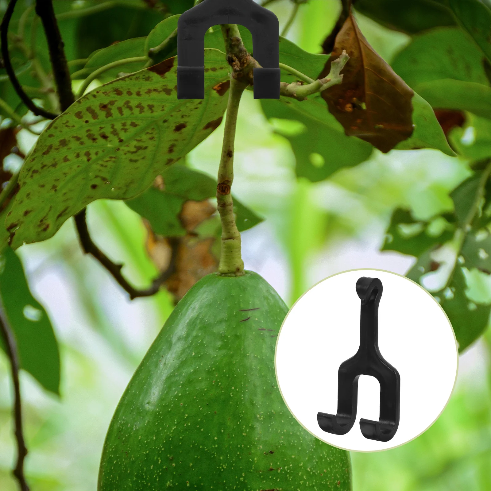 

Black 50 Pcs Cantaloupe Hook Garden Accessories Wall Support for Climbing Plants Tomato Melon Support