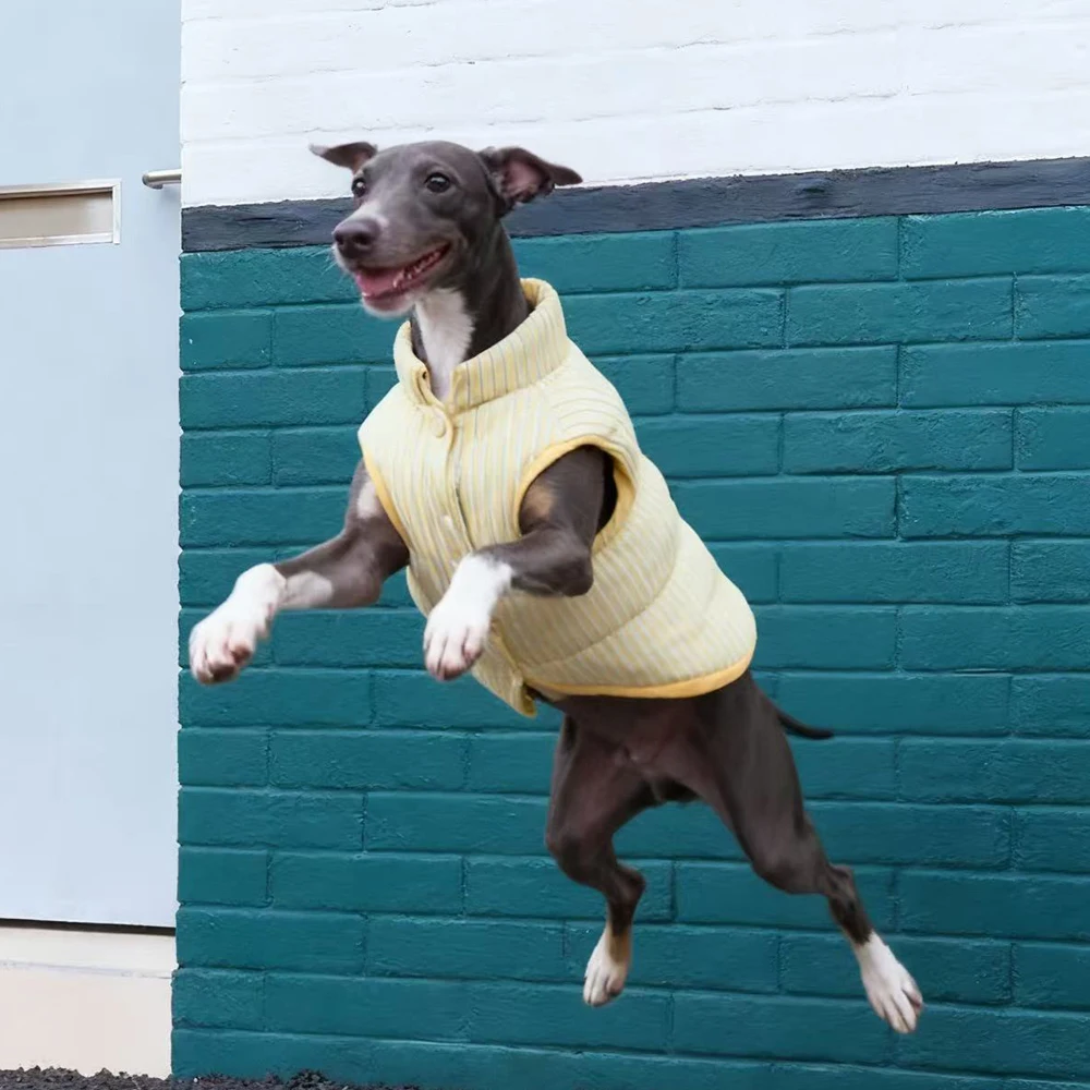 Winterwarmer Daunenmantel zum schnellen Abziehen für italienischen Windhund, winddichte Streifen-Reißverschlussjacke für kleine Whippet-Hunde im Herbst – Detail 4