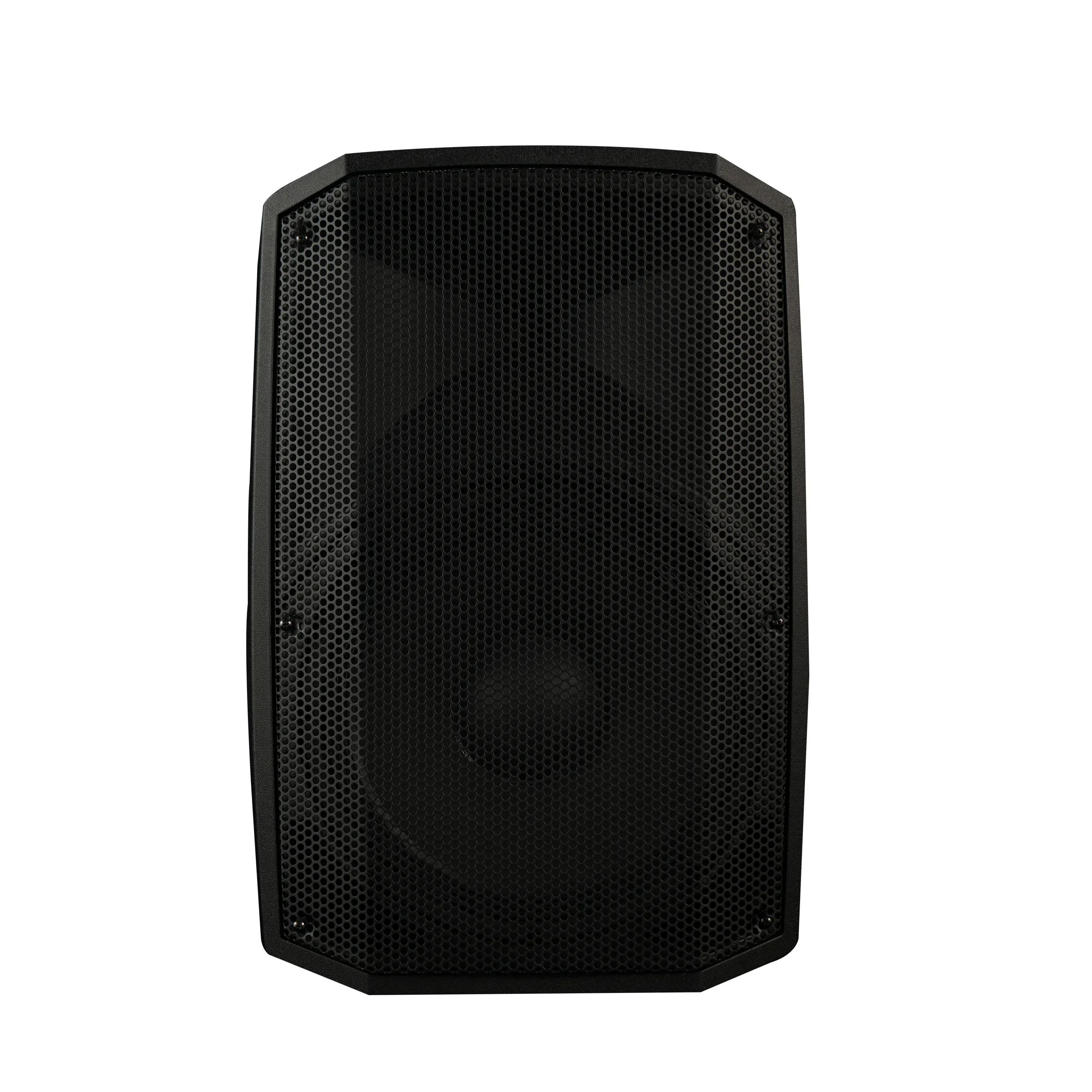 Accuracy Pro Audio CAV15ADA 500W 15 Inch Professional Audio Powered Speaker Digital Amplifier Active Speaker