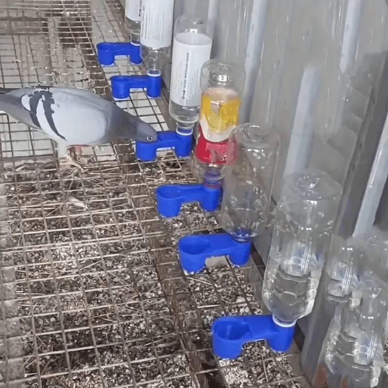 4Pcs Pigeon Automatic Drinker Water Dispenser Base Clip-On Cage Bird Drinking Bowl 3cm Thread Fits Standard Bottle