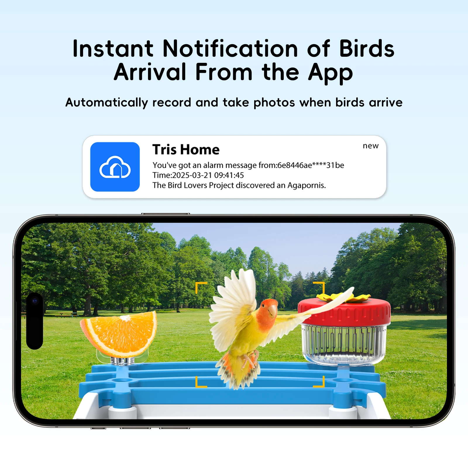 Солнечная камера-кормушка для – обзор и цена Smart Bird Feeder Camera