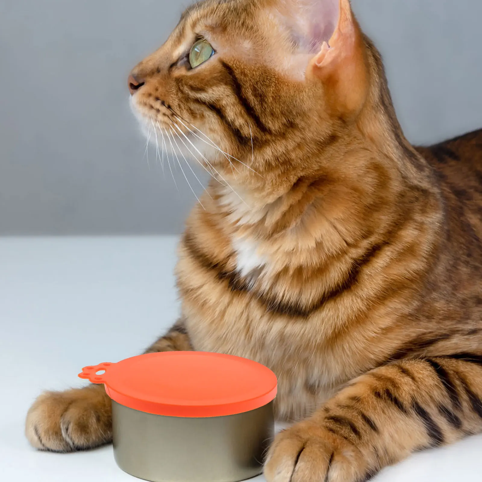 

4Pcs Silicone Can Covers for Pet Food Reusable Durable Seal Freshness Storage Lids for Dog Cat Silicone Can Cover