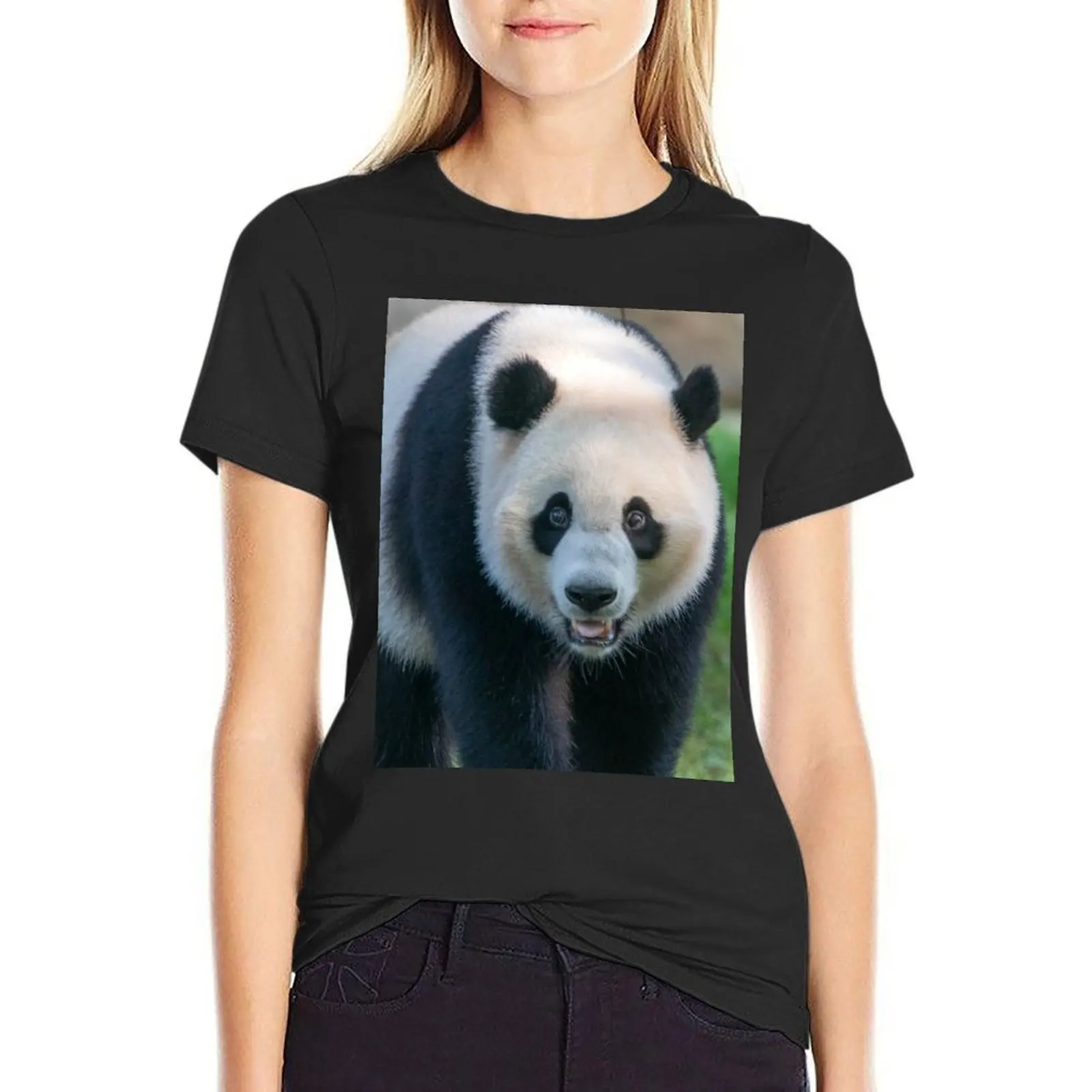 

Giant Panda Xiao Qi Ji at the National Zoo T-Shirt Short sleeve tee Female clothing plain cute t-shirts for Women
