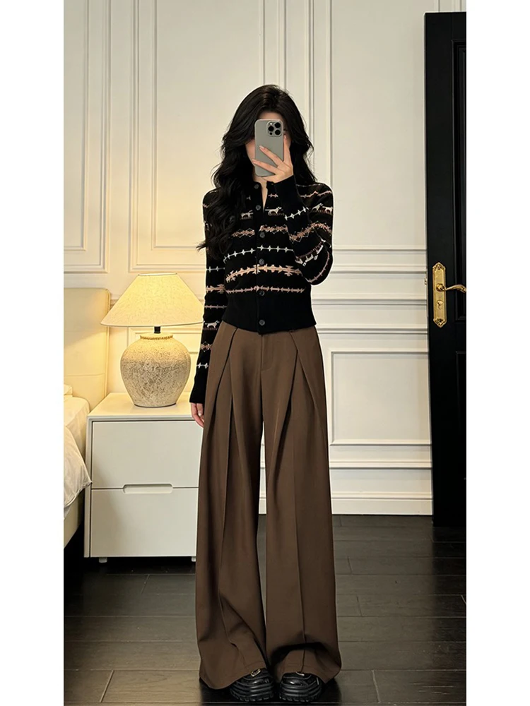 Retro High Waist Loose Straight Leg Casual Pants Women's Coffee Color Spring New Fashion Wide Leg Trousers Cleanfit Style