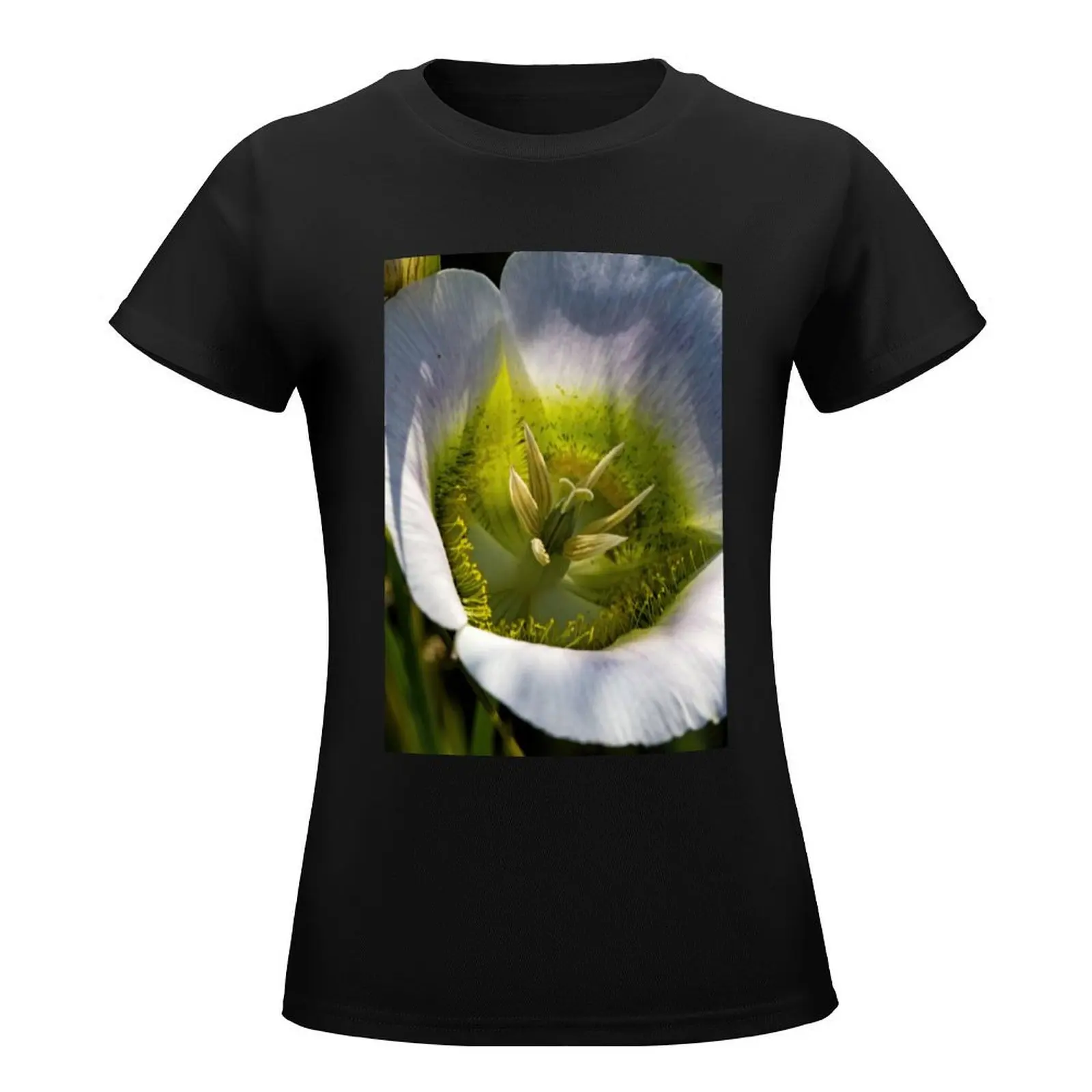 Mariposa Lily T-Shirt graphics plus size tops tshirts for Women