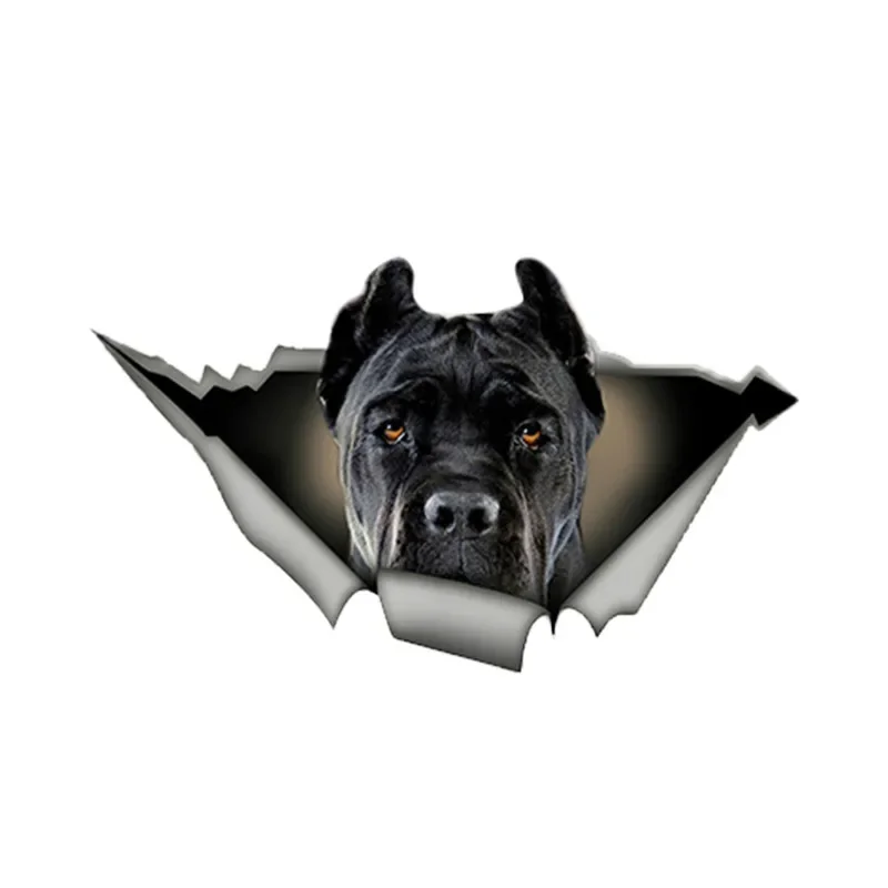 

Jpct Tear Cute Cover Scratch Car Stickers Cute Pet Dog Decoration Fun Car Accessories Polyethylene Dog Stickers