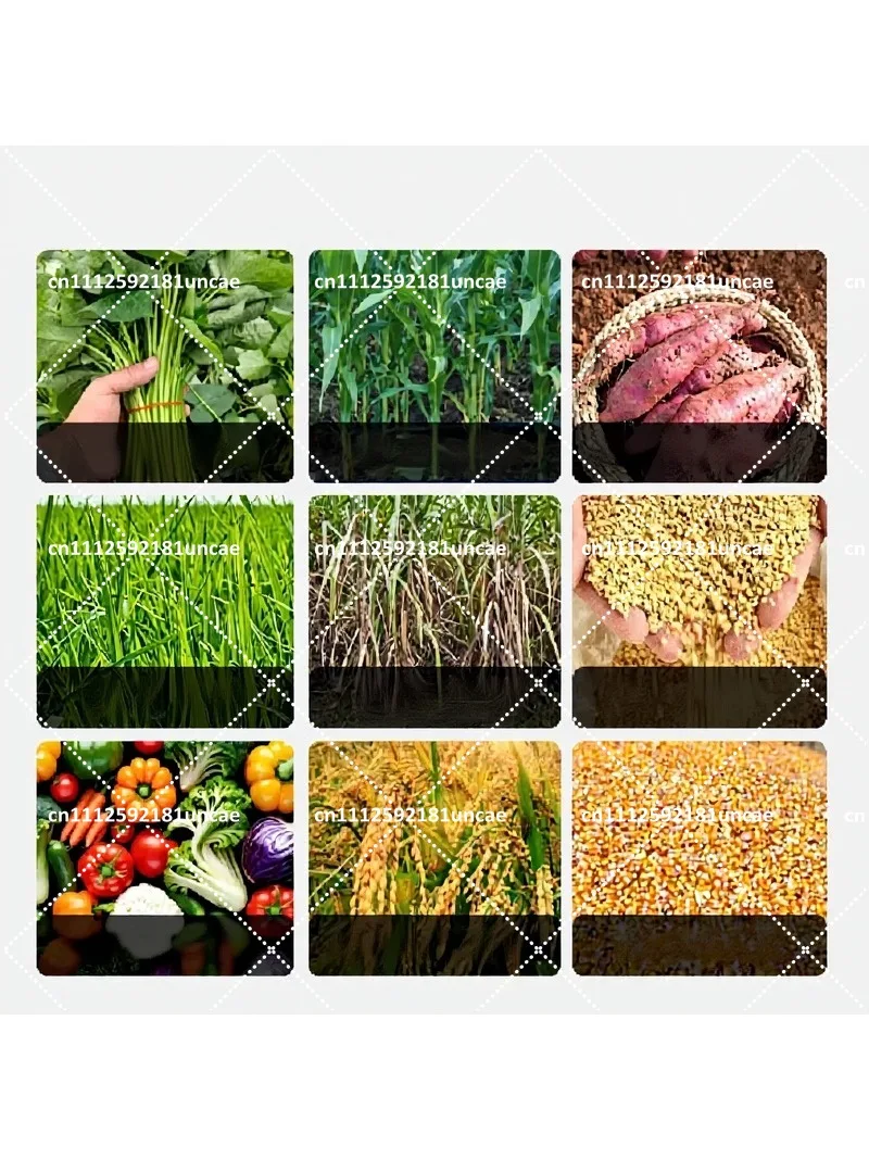 Stainless Steel Multifunctional Food Processing Tool for Farm Feed Making