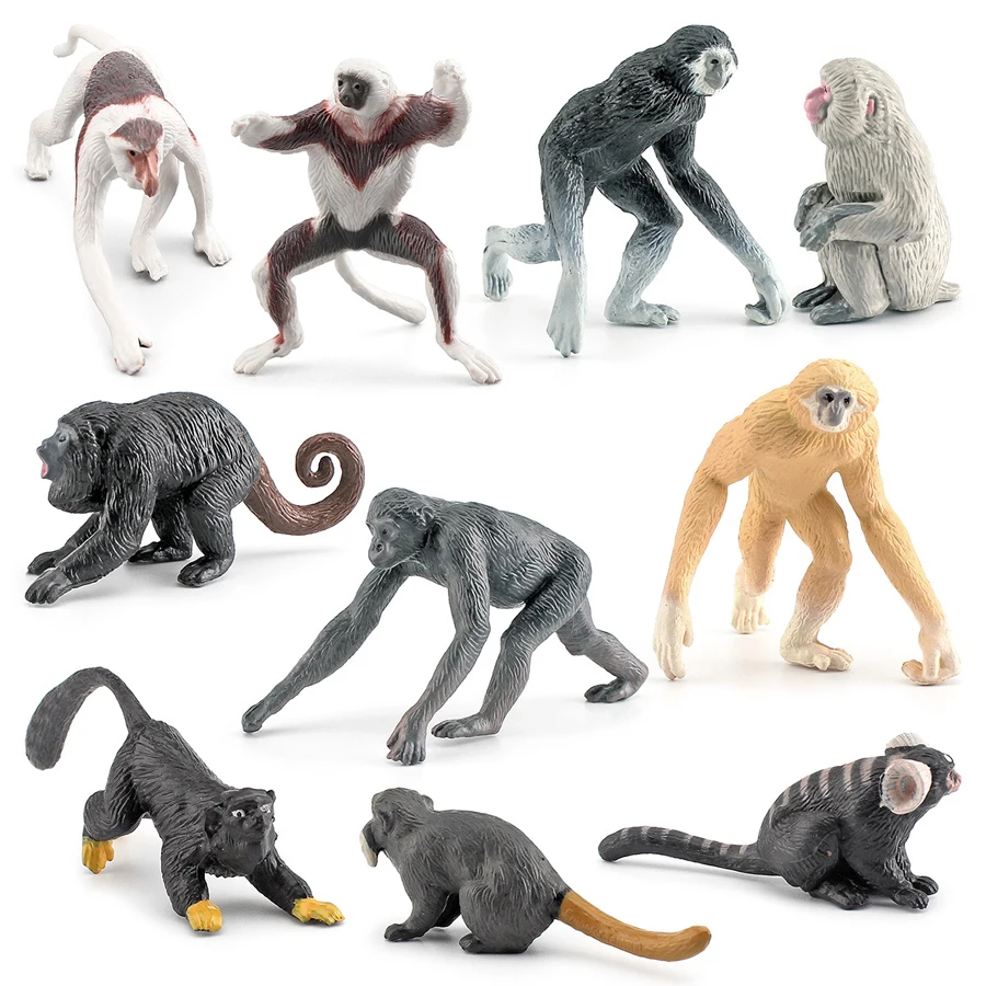 Figuras realistas de animales Bonobo, cinta, Marmoset, monos, modelo multicolor, juguetes educativos para enseñanza, 10 Uds.