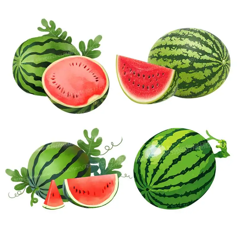 

Watermelon Fruit Wall Stickers Kitchen Decoration Dining Room Living Room Cabinet Refrigerator Home Decoration Decals M1244