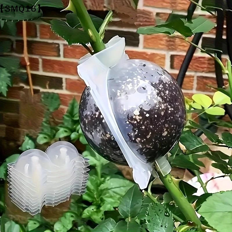 10Pcs Plant Rooting Ball Propagation Box High Pressure Grafting Cutting And Rooting Kit Planting Nursery Pot For Home Farm【SMQ】