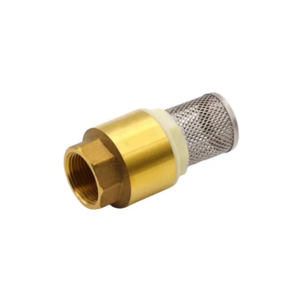 

Brass Check Valve with Strainer Filter 1" BSP Female Thread