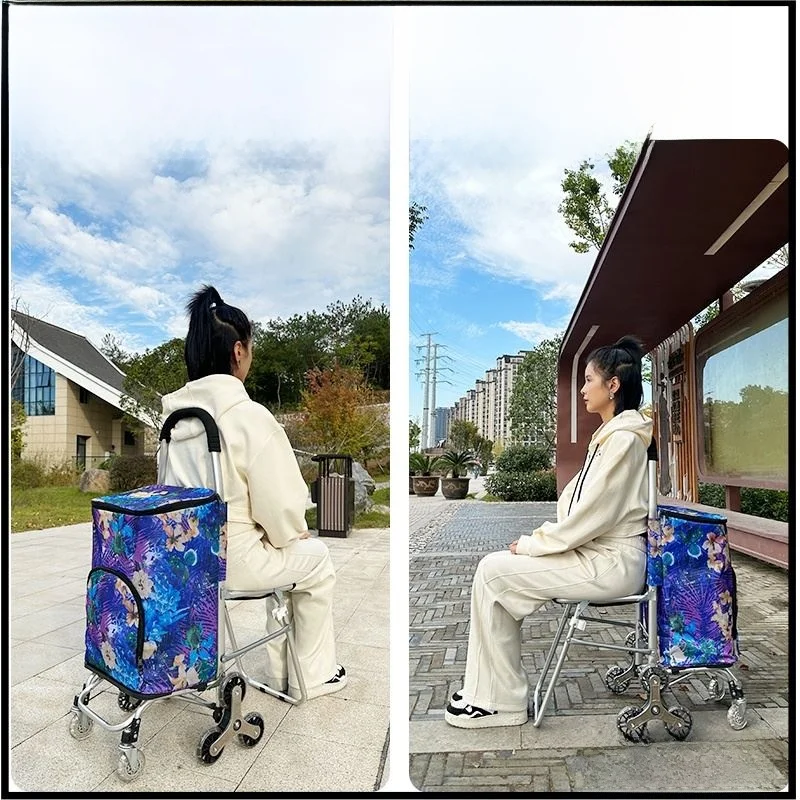 detachable-double-layer-insulated-shopping-cart-with-stool-for-climbing-stairs-foldable-elderly-home-use-portable-wheelchair