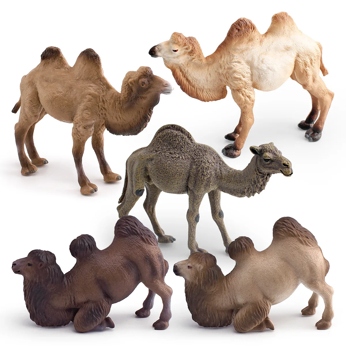 Children's Cross-Border Cognitive Simulation Camel Wild Animal Model Single-Hump Camel Double-Hump Camel Desktop Ornaments